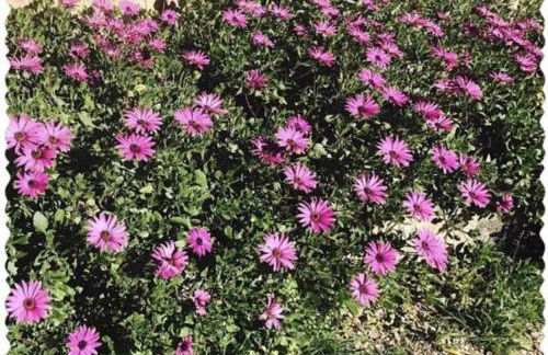 Agriturismo Su Barraccu - Foto 43