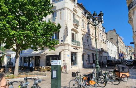 Martroi - Cœur de Ville - 3 pièces 80 m2 TV - Internet haut débit - loisirs et affaires - Foto 33