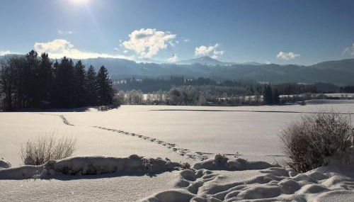 Ferienwohnung-Rottachseeblick - Foto 2