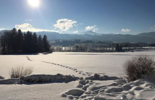 Ferienwohnung-Rottachseeblick - Foto 2