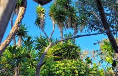 Finca El Lance - Foto 66