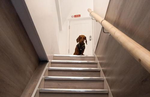 The Stannary - Foto 9