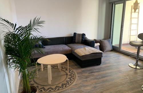 Le Green-Center, 2 pièces en Hyper Centre - Foto 5