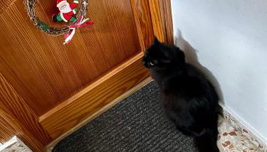 RichMarHome - Foto 2, Lobby or reception