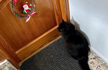 RichMarHome - Foto 2