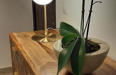 Cor de Vinaròs - Foto 19