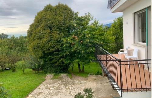 Al frutteto - Foto 42