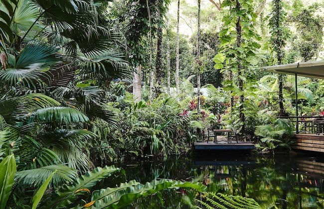 Daintree Ecolodge - Photo 58