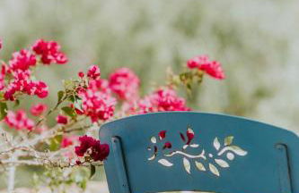 Villa Matilde - Foto 65