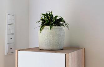 Modernes voll möbliertes Apartment am See mit Garten, nahe BER - Foto 13