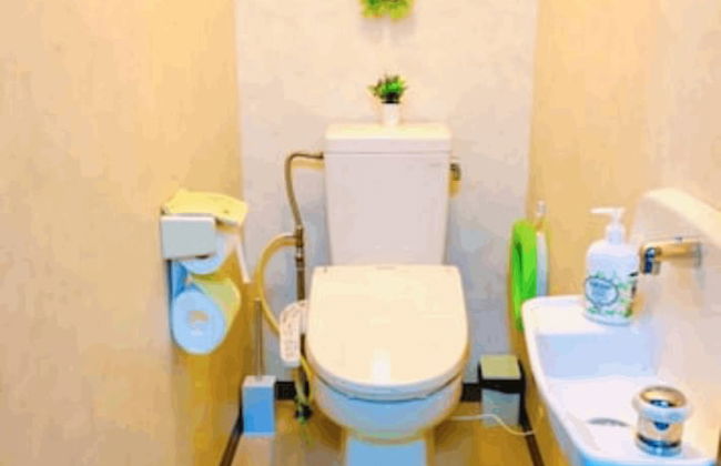 Nikko Dream House - Foto 22