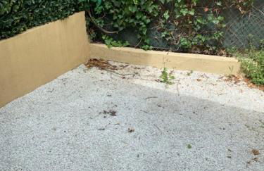 Les Volets Bleus - Foto 6