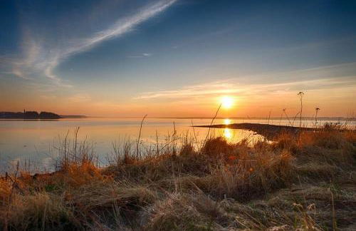 Ferienwohnung Schwitzkowski - Foto 11