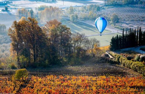 Tomati's House - Foto 34