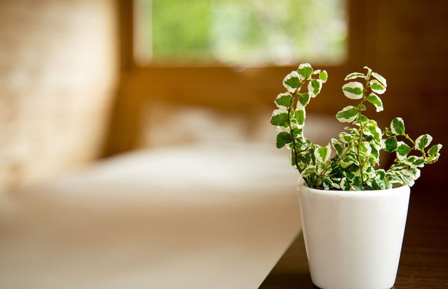 BRICK HOUSE Furano - Foto 4