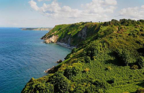 Face a la mer avec terrasse ensoleillee Brehec - Foto 12