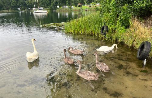 Łagów apartament z plażą i pomostem - Foto 36