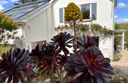 Little Tretheene - Photo 15