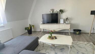 Über den Dächern von Halle - Foto 3