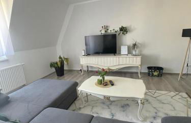 Über den Dächern von Halle - Foto 3