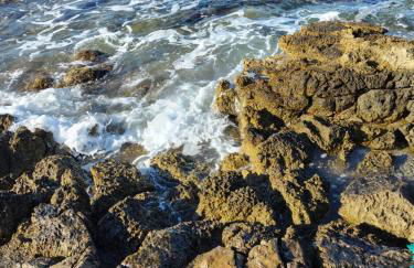 Da Pina sud - Foto 59