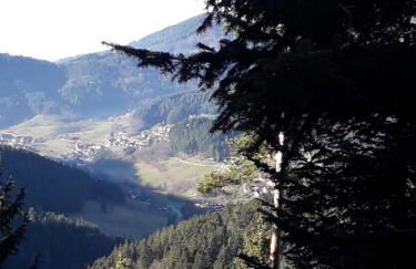 Ferienwohnung Haus Finkbeiner - Foto 18