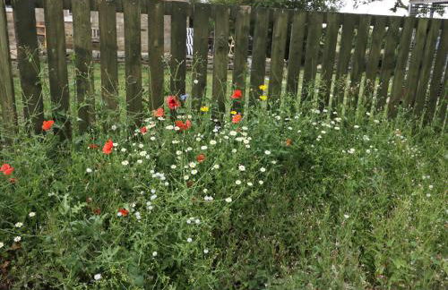 Stable Cottage - Foto 37