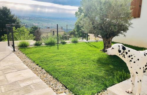 Casa Maya Deluxe Appartment with a pool - Photo 26