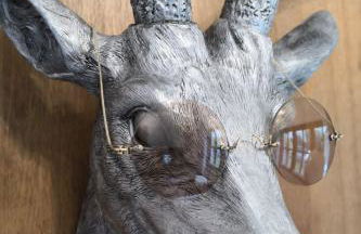 Apartment im Naturpark Steinwald by Interhome - Photo 3