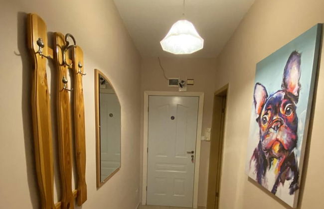 Sunny Beach Apartment ,sunny Fort Apartment - Photo 13