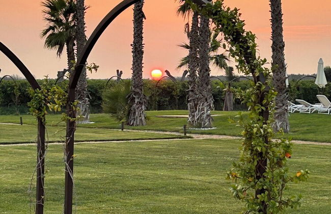 Masseria Torleanzi - Wine Relais - Photo 50