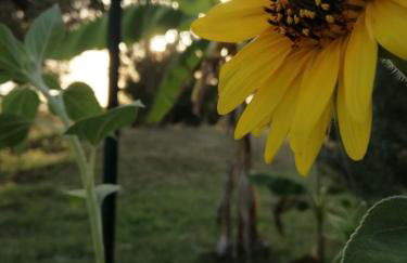 Relais Il Giardino fra gli Ulivi - Foto 43