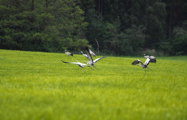 Holiday Home by Lake Garder With Panoramic Views - Foto 39