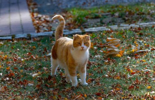 Za Siódmą Górą - Foto 32