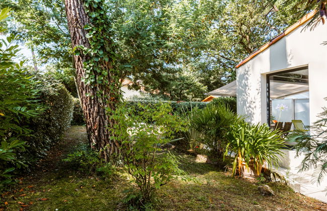 Les Narcisses - Foto 30