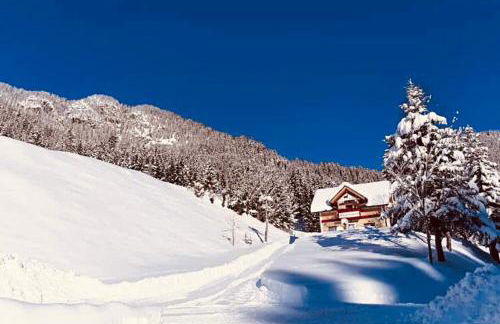 Baita Alpenrose - Photo 27