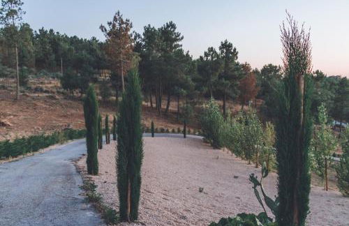 Casa da Ni - Douro - Foto 48