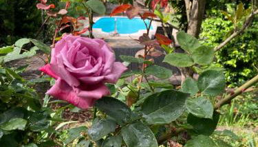 El Cau de Cal Quimet - Foto 5