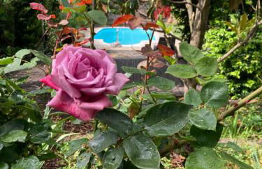 El Cau de Cal Quimet - Foto 5