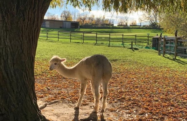 Hotel Les Suites - De Crécy - Foto 78