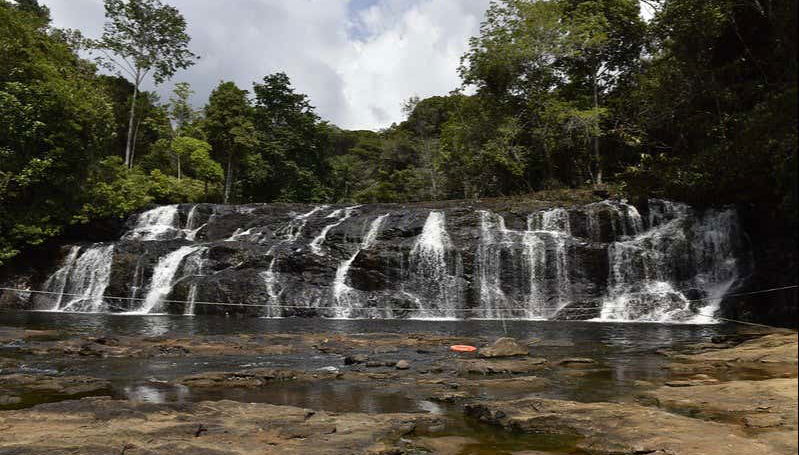 Immerse yourself in Brazilian nature