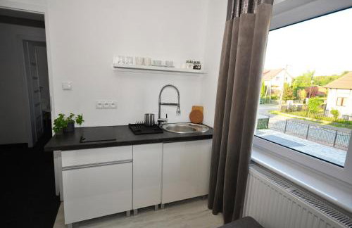 WILLA ILONA 1 - Foto 42