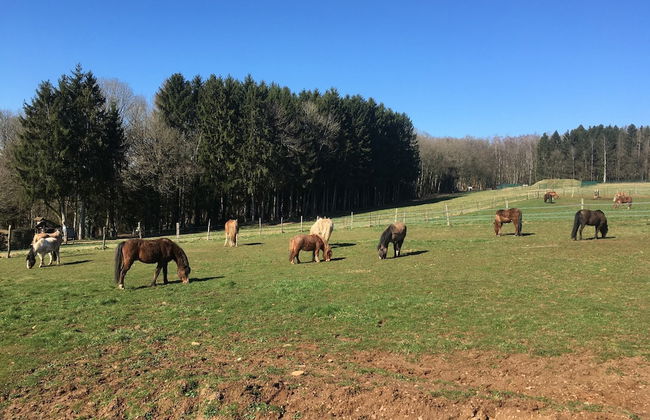 Holiday Home Near Lake and Leisure in Clos du Bannet - Photo 21