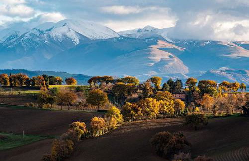 Da Foschetta - Foto 17