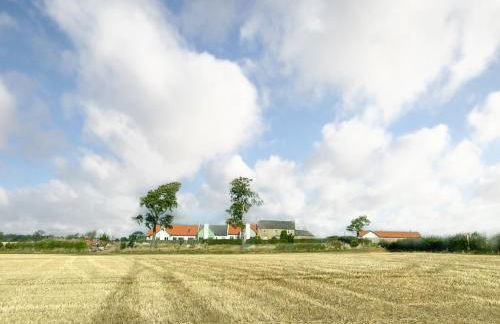 Petronella - Foto 27