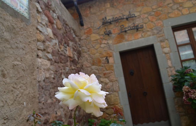 Can Llorenç - Photo 62