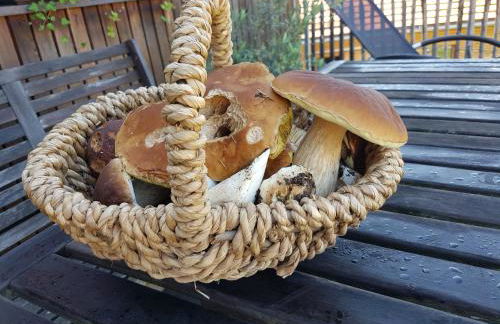 Holzmichel - Foto 16