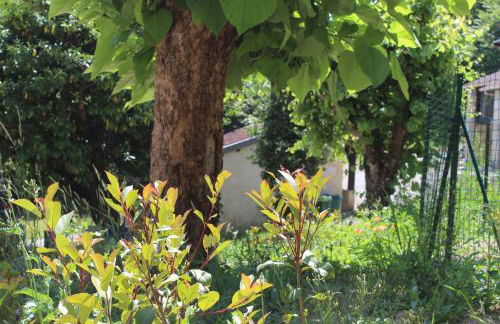 SIBO GITE en Périgord - Foto 32