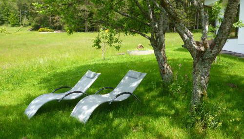 Waldfrieder Ferienwohnungen - Foto 2