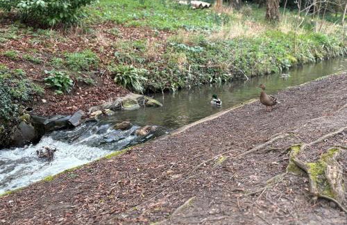 Little Vine Cottage in the grounds of Leeds Castle - Foto 34